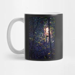 Wild and Tangled Forest Mug